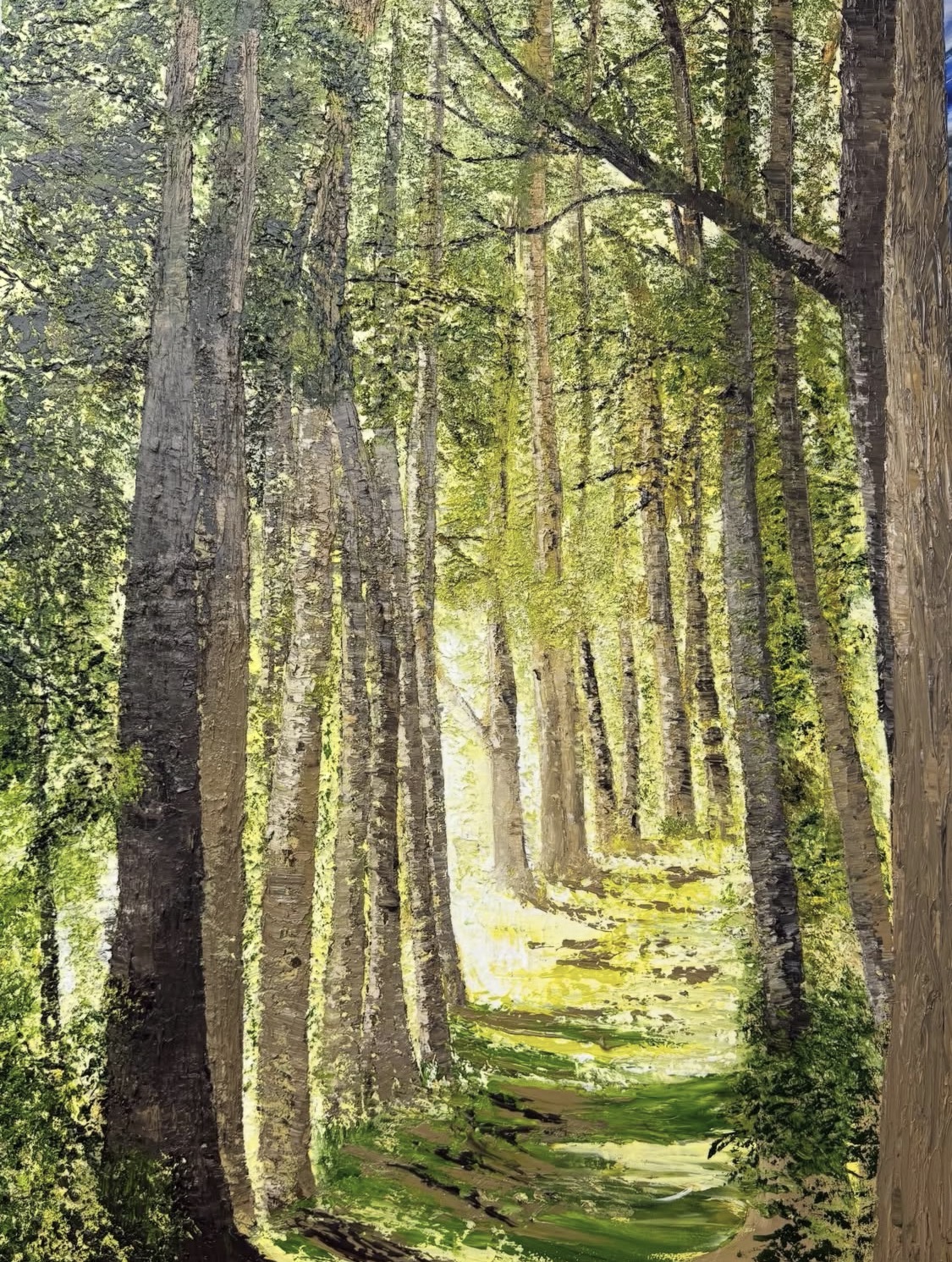 La luz del bosque